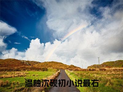 温柚沈砚初（温柚沈砚初）全文免费阅读无弹窗大结局_（温柚沈砚初）最新章节列表笔趣阁