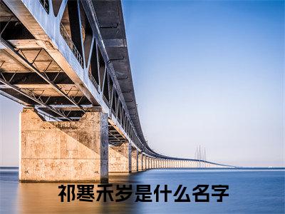 祁寒禾岁免费小说 祁寒禾岁全文阅读目录