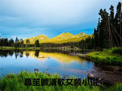慕笙顾清歌已完结小说《慕笙顾清歌》在线全文阅读