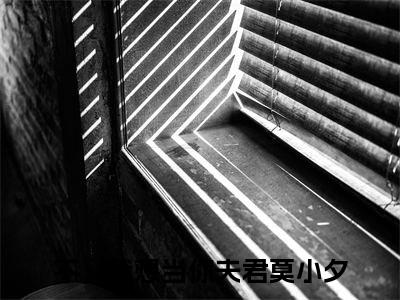 不，我想当你夫君莫小夕小说讲的是什么-不，我想当你夫君莫小夕精彩章节目录观看