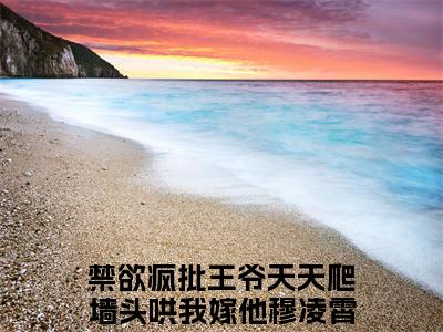 禁欲疯批王爷天天爬墙头哄我嫁他穆凌霄（禁欲疯批王爷天天爬墙头哄我嫁他穆凌霄全文免费）全文免费阅读大结局_（禁欲疯批王爷天天爬墙头哄我嫁他穆凌霄）全文免费阅读无弹窗最新章节列表_笔趣阁（禁欲疯批王爷天天爬墙头哄我嫁他穆凌霄）