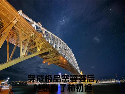 穿成极品恶婆婆后，她赚麻了林初渔小说免费阅读无弹窗大结局，穿成极品恶婆婆后，她赚麻了林初渔最新章节列表