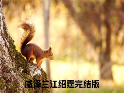 （热推新书）《戚泽兰江绍霆》全文免费阅读无弹窗大结局_重生之首长夫人离婚指南无弹窗全文阅读