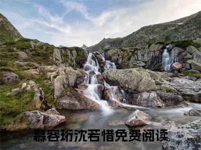 慕容珩沈若惜正版小说最新章节在线阅读-完结版小说（慕容珩沈若惜）
