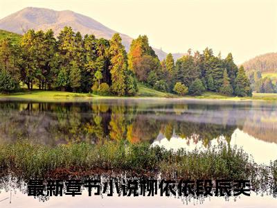 柳依依段辰奕全文免费无弹窗大结局_ 柳依依段辰奕免费柳依依段辰奕最新章节列表_笔趣阁