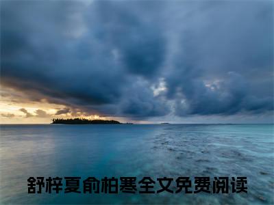 舒梓夏俞柏寒全文免费阅读无弹窗大结局-舒梓夏俞柏寒星辰于心入黎明全文全章节免费阅读