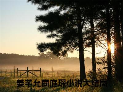 姜芊允商庭琛完整版最新小说大结局-姜芊允商庭琛无删版阅读