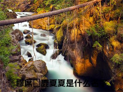 穆席彧鹿夏夏超受欢迎小说-穆席彧鹿夏夏全文在线赏析