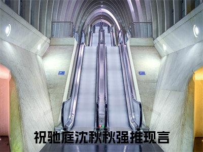 (热推新书)祝驰庭沈秋秋全文免费阅读无弹窗大结局-祝驰庭沈秋秋最新章节列表_笔趣阁（祝驰庭沈秋秋）