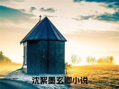 沈絮墨玄卿小说精选片段阅读-沈絮墨玄卿小说免费版最新更新阅读