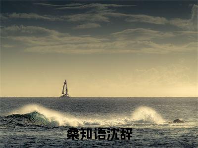 桑知语沈辞全文免费阅读无弹窗大结局_（桑知语沈辞阅读无弹窗）我,离婚如丧偶,惊艳众人过新人生最新章节列表_笔趣阁（我,离婚如丧偶,惊艳众人过新人生）