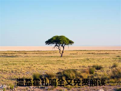 温荔霍礼鸣小说（温荔霍礼鸣）全文免费阅读结局-温荔霍礼鸣全文完结版阅读