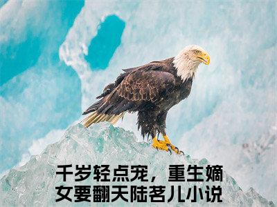 【新书】千岁轻点宠，重生嫡女要翻天陆茗儿全文全章节免费阅读-千岁轻点宠，重生嫡女要翻天陆茗儿 全文免费阅读无弹窗大结局