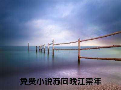 苏向晚江崇年免费阅读无弹窗 苏向晚江崇年最新章节