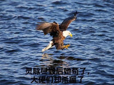 灵脉尽毁后她苟了，大佬们却杀疯了（莫怯）全文小说免费阅读-灵脉尽毁后她苟了，大佬们却杀疯了最新章节列表_笔趣阁