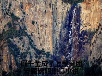 假千金成了上京真团宠顾锦昭的小说全文免费阅读无弹窗，主角名字是假千金成了上京真团宠顾锦昭的小说在线免费阅读大结局