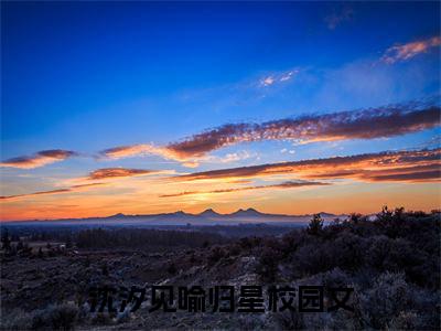今日阅读更新沈汐见喻归星-沈汐见喻归星全文免费完整版