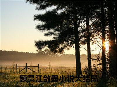 颜灵江敛墨（颜灵江敛墨）大结局免费小说无弹窗-颜灵江敛墨完整版阅读-笔趣阁