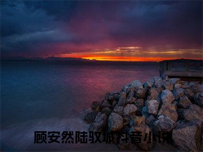 顾安然陆驭城精彩章节在线阅读-顾安然陆驭城美文欣赏