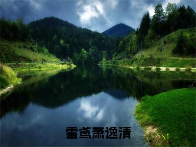 雪鸢萧逸清免费阅读无弹窗大结局-雪鸢萧逸清（雪鸢萧逸清最新全章节大结局）全文阅读