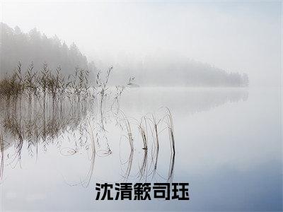 沈清簌司珏满分热推小说 -沈清簌司珏小说全本已完结