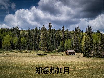 郑海苏如月（郑海苏如月免费阅读无弹窗）-郑海苏如月最新章节列表郑海苏如月全文无删减版