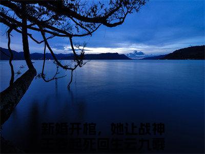 新婚开棺，她让战神王爷起死回生云九羲全文免费阅读无弹窗-新婚开棺，她让战神王爷起死回生云九羲小说最新章节列表