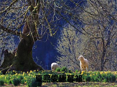 夏熙雯唐慕祁（夏熙雯唐慕祁)全文免费阅读无弹窗大结局_夏熙雯唐慕祁全文免费阅读_笔趣阁（夏熙雯唐慕祁）