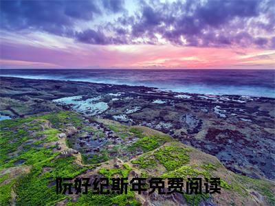 阮好纪斯年全网首发最新小说-阮好纪斯年全文在线免费阅读