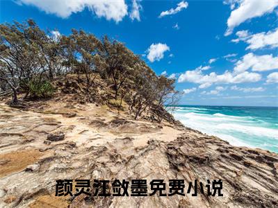 主角为颜灵江敛墨的小说，颜灵江敛墨免费版最新更新阅读