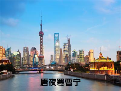 唐夜寒曹宁小说免费阅读-精选好书唐夜寒曹宁