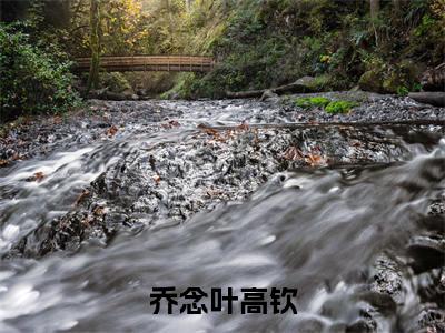 乔念叶高钦免费小说-乔念叶高钦完结版在线阅读
