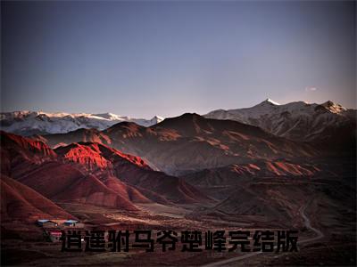 逍遥驸马爷（楚峰）全文免费阅读无弹窗_楚峰最新小说精彩推荐