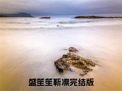 盛笙笙靳凛免费小说（盛笙笙靳凛）全本免费阅读-盛笙笙靳凛最新章节列表