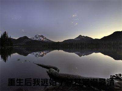 番外+免费小说《林甘棠温晏清》全文免费阅读无弹窗-重生后我逃婚了小说全文在线赏析_笔趣阁