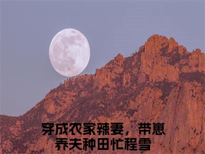 私藏读物《穿成农家辣妻，带崽养夫种田忙程雪》小说全文免费阅读-微小说（穿成农家辣妻，带崽养夫种田忙程雪）完整版阅读