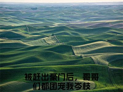 被赶出豪门后，哥哥们都团宠我岑枝（被赶出豪门后，哥哥们都团宠我岑枝）免费阅读无弹窗大结局-被赶出豪门后，哥哥们都团宠我岑枝免费阅读大结局最新章节列表_笔趣阁