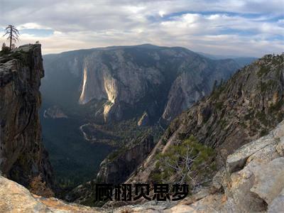 小说（顾栩贝思梦）_顾栩贝思梦全文阅读_顾栩贝思梦免费阅读大结局