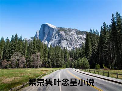 我的爱情，死在了那个夏天小说免费阅读我的爱情，死在了那个夏天小说在哪里可以看