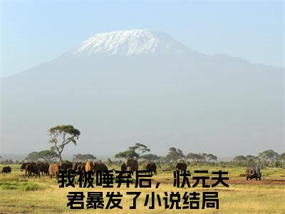 我被唾弃后，状元夫君暴发了（苏鱼）小说全文免费阅读无弹窗大结局_我被唾弃后，状元夫君暴发了（苏鱼）最新章节列表