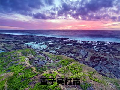 董子昊杜霜（董子昊杜霜）小说全文免费阅读-董子昊杜霜免费阅读完整版
