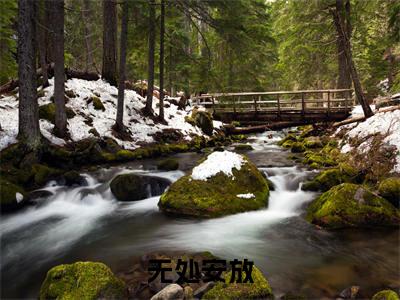 高赞小说黎由何安（无处安放）完结阅读_无处安放黎由何安免费看全文