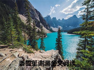 姜雪笙谢渊（冬至缚情免费阅读无弹窗）冬至缚情最新章节列表_笔趣阁