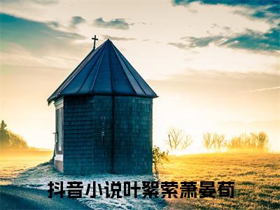 叶絮萦萧晏荀精彩章节免费阅读_叶絮萦萧晏荀抖音热推小说最新章节阅读