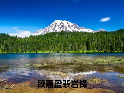 抖音新书热荐小说（段嘉盈裴岩锋）主角是（段嘉盈裴岩锋）小说免费阅读小说无弹窗阅读_笔趣阁