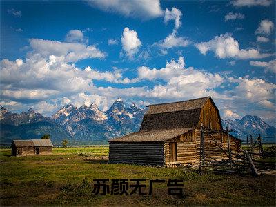 穿越兽世：绑定生子系统后逆袭了小说（苏颜）全文在线阅读免费大结局_穿越兽世：绑定生子系统后逆袭了小说最新章节列表