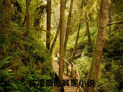 沈凌薇陆其琛精选小说大结局阅读-新上热文小说（沈凌薇陆其琛）讲的是什么
