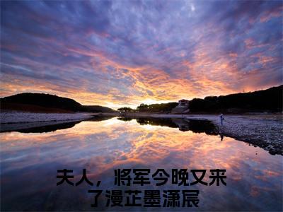 （漫芷墨潇宸）夫人，将军今晚又来了全文免费阅读无弹窗大结局_漫芷墨潇宸（夫人，将军今晚又来了）小说结局免费阅读