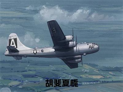 胡斐夏栀（重生：学霸和软萌校花的完美人生）全文免费阅读无弹窗大结局_胡斐夏栀（重生：学霸和软萌校花的完美人生）全文阅读_笔趣阁