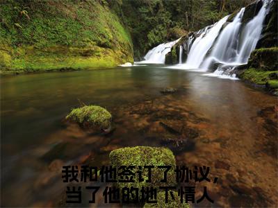 程楚思古郎琛小说（我和他签订了协议，当了他的地下情人）全文免费阅读无弹窗大结局_我和他签订了协议，当了他的地下情人小说最新章节_笔趣阁（程楚思古郎琛）